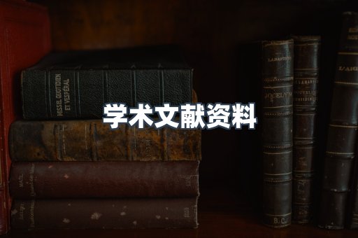 学术文献资料