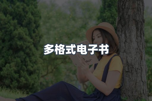多格式电子书